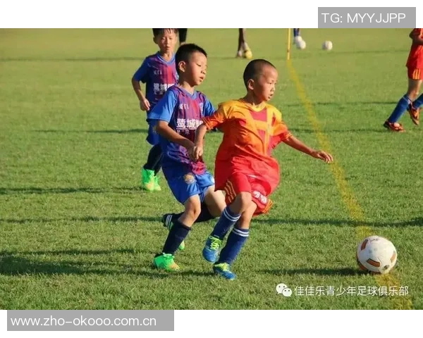 鹭城足球明星俱乐部助力青少年成长与梦想实现的精彩旅程